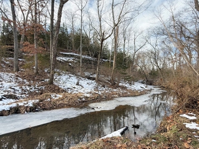 St. Clair County 80 Acre Recreational Property, Osceola, MO - image 14