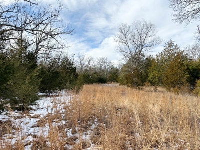 St. Clair County 80 Acre Recreational Property, Osceola, MO - image 17