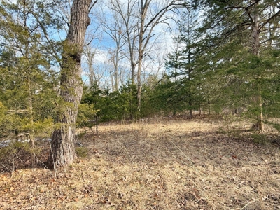 St. Clair County 80 Acre Recreational Property, Osceola, MO - image 16