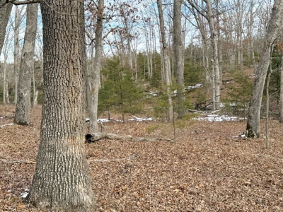 St. Clair County 80 Acre Recreational Property, Osceola, MO - image 22