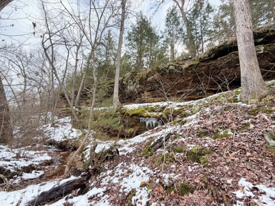 St. Clair County 80 Acre Recreational Property, Osceola, MO - image 30