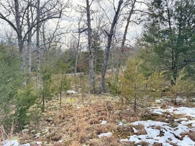 St. Clair County 80 Acre Recreational Property, Osceola, MO - image 18
