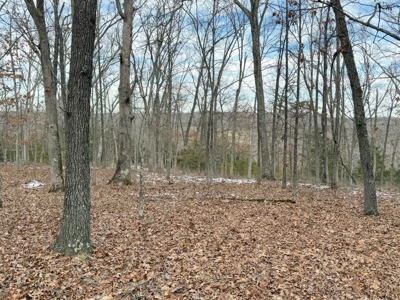 St. Clair County 80 Acre Recreational Property, Osceola, MO - image 24