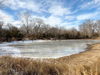 St. Clair County 80 Acre Recreational Property, Osceola, MO - image 9