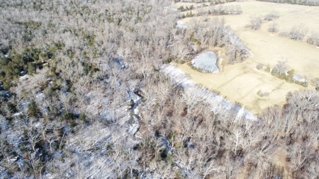 St. Clair County 80 Acre Recreational Property, Osceola, MO - image 47