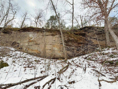 St. Clair County 80 Acre Recreational Property, Osceola, MO - image 32