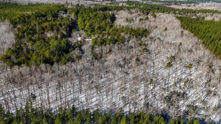 Country Paradise: 6.83 Wooded Acres Near Buggs Island Lake - image 8
