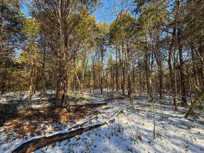 Country Paradise: 6.83 Wooded Acres Near Buggs Island Lake - image 27