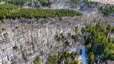Country Paradise: 6.83 Wooded Acres Near Buggs Island Lake - image 4