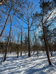 Country Paradise: 6.83 Wooded Acres Near Buggs Island Lake - image 17