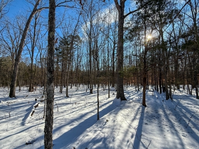 Country Paradise: 6.83 Wooded Acres Near Buggs Island Lake - image 19
