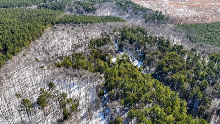 Country Paradise: 6.83 Wooded Acres Near Buggs Island Lake - image 7