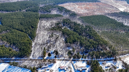Country Paradise: 6.83 Wooded Acres Near Buggs Island Lake - image 6