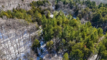 Country Paradise: 6.83 Wooded Acres Near Buggs Island Lake - image 11
