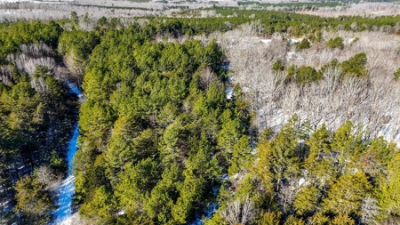 Country Paradise: 6.83 Wooded Acres Near Buggs Island Lake - image 10