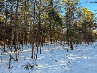 Country Paradise: 6.83 Wooded Acres Near Buggs Island Lake - image 25