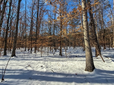 Country Paradise: 6.83 Wooded Acres Near Buggs Island Lake - image 21