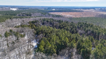 Country Paradise: 6.83 Wooded Acres Near Buggs Island Lake - image 3
