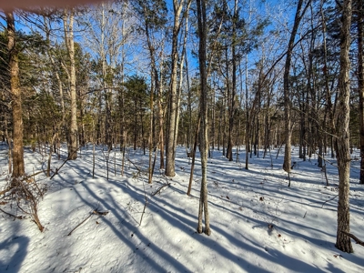 Country Paradise: 6.83 Wooded Acres Near Buggs Island Lake - image 16