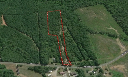 Country Paradise: 6.83 Wooded Acres Near Buggs Island Lake - image 31