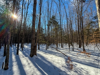 Country Paradise: 6.83 Wooded Acres Near Buggs Island Lake - image 22