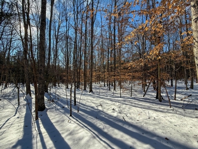 Country Paradise: 6.83 Wooded Acres Near Buggs Island Lake - image 20