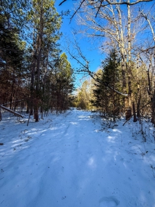 Country Paradise: 6.83 Wooded Acres Near Buggs Island Lake - image 24