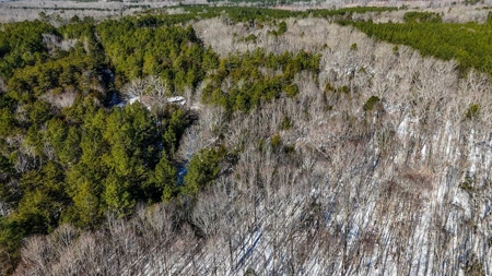 Country Paradise: 6.83 Wooded Acres Near Buggs Island Lake - image 9