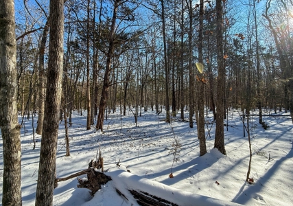 Country Paradise: 6.83 Wooded Acres Near Buggs Island Lake - image 15