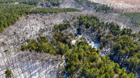 Country Paradise: 6.83 Wooded Acres Near Buggs Island Lake - image 2