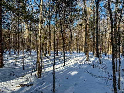 Country Paradise: 6.83 Wooded Acres Near Buggs Island Lake - image 13