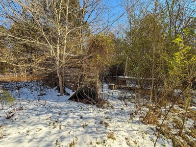 Country Paradise: 6.83 Wooded Acres Near Buggs Island Lake - image 26