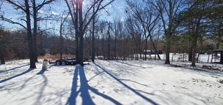 Investment Property or Starter Home in Wooded Setting!!! - image 21