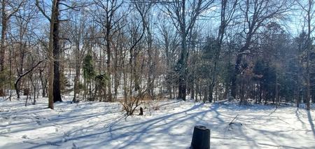 Investment Property or Starter Home in Wooded Setting!!! - image 28