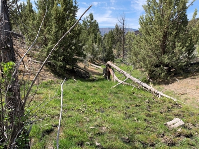 Eastern Oregon Big Basin Ranch - image 18