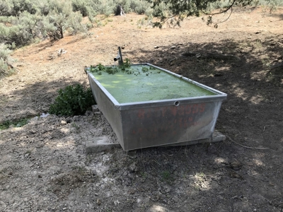 Eastern Oregon Big Basin Ranch - image 39