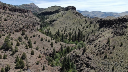 Eastern Oregon Big Basin Ranch - image 44