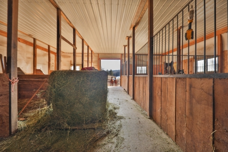 Amish Homestead on 105 Acres in Richland County, Wisconsin – - image 25