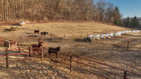 Amish Homestead on 105 Acres in Richland County, Wisconsin – - image 26