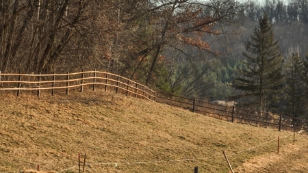 Amish Homestead on 105 Acres in Richland County, Wisconsin – - image 27