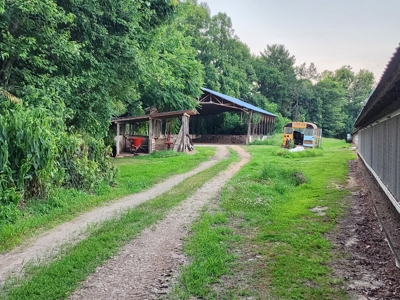 Income Producing Poultry in North Carolina: 8 broilers house - image 19