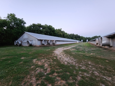 Income Producing Poultry in North Carolina: 8 broilers house - image 31