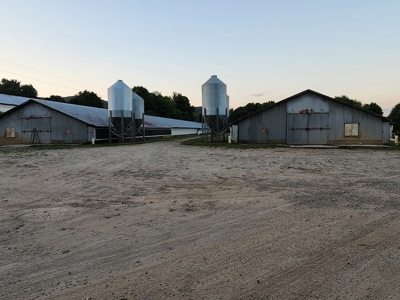Income Producing Poultry in North Carolina: 8 broilers house - image 12