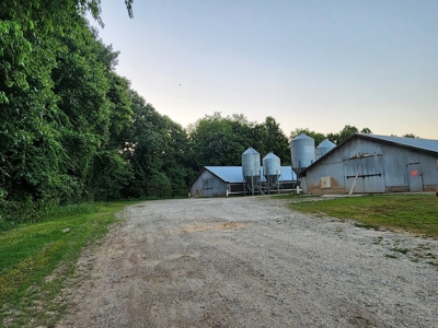 Income Producing Poultry in North Carolina: 8 broilers house - image 14