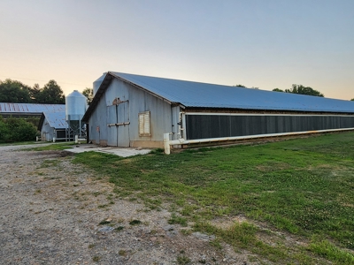 Income Producing Poultry in North Carolina: 8 broilers house - image 11