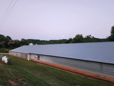 Income Producing Poultry in North Carolina: 8 broilers house - image 26