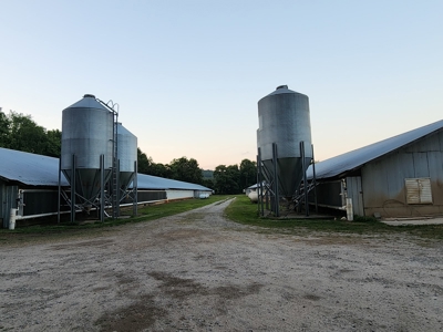 Income Producing Poultry in North Carolina: 8 broilers house - image 16
