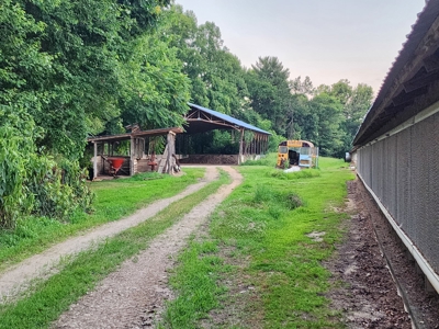 Income Producing Poultry in North Carolina: 8 broilers house - image 18