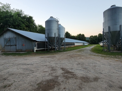 Income Producing Poultry in North Carolina: 8 broilers house - image 17