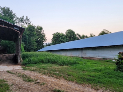 Income Producing Poultry in North Carolina: 8 broilers house - image 22